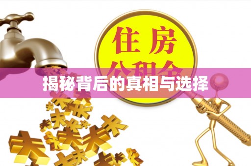 石拐揭秘背后的真相与选择