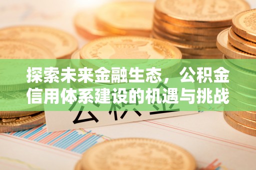 石拐探索未来金融生态，公积金信用体系建设的机遇与挑战