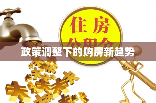 石拐政策调整下的购房新趋势