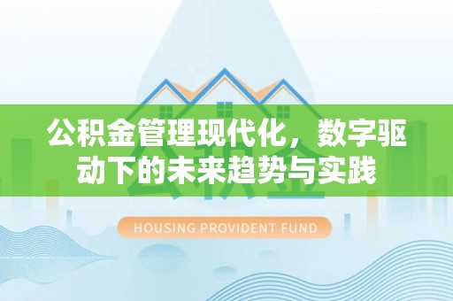 石拐公积金管理现代化，数字驱动下的未来趋势与实践