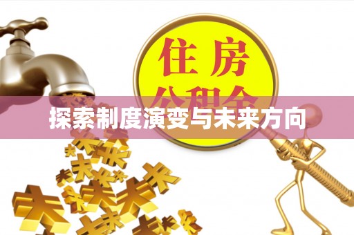 石拐探索制度演变与未来方向