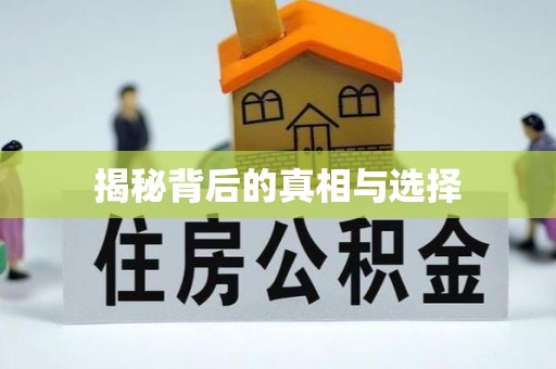 石拐揭秘背后的真相与选择
