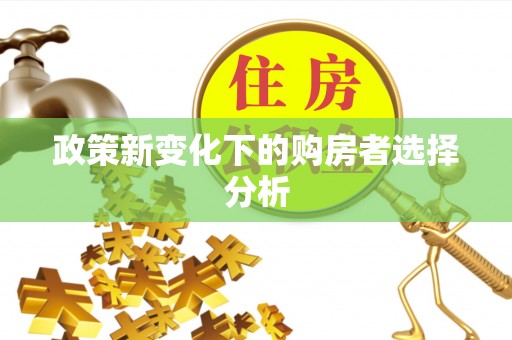 石拐政策新变化下的购房者选择分析