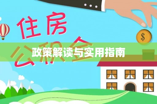 石拐政策解读与实用指南