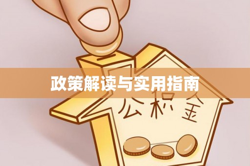 石拐政策解读与实用指南