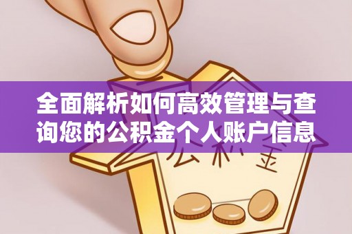 石拐全面解析如何高效管理与查询您的公积金个人账户信息