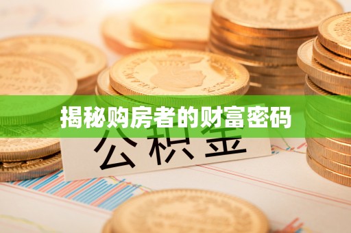 石拐揭秘购房者的财富密码