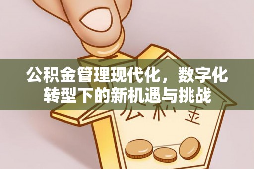 石拐公积金管理现代化，数字化转型下的新机遇与挑战