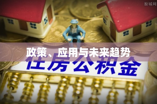 石拐政策、应用与未来趋势