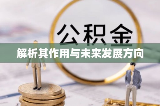 石拐解析其作用与未来发展方向