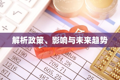 石拐解析政策、影响与未来趋势