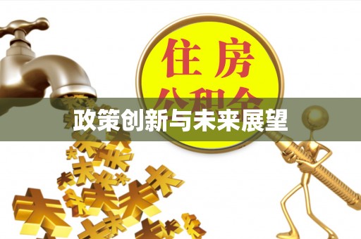 石拐政策创新与未来展望
